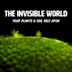 Ep. 185 | The Invisible World Your Plants & Soil Rely Upon