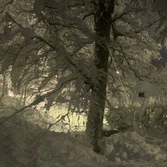 Hinterland