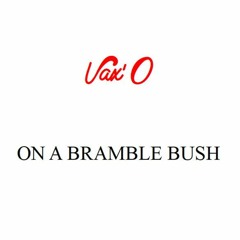 On a bramble bush