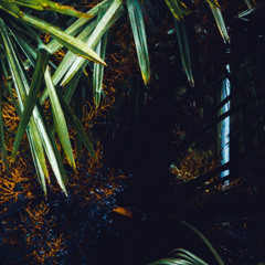 After Hours Volume 0210