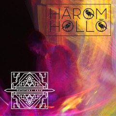 Hermes on Acid Freetekno mix at Catatone x Három Holló (2025.03.20.)