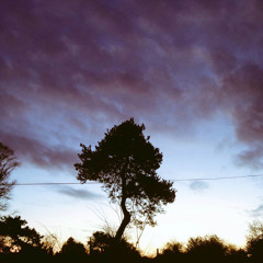 Fall In Love (Junofied Cover)