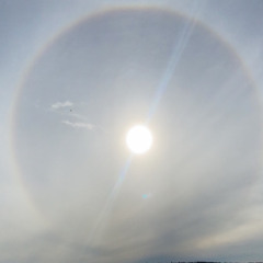 homixide (with manni)