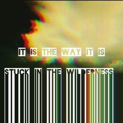 It Is the Way It Is (Single).mp3