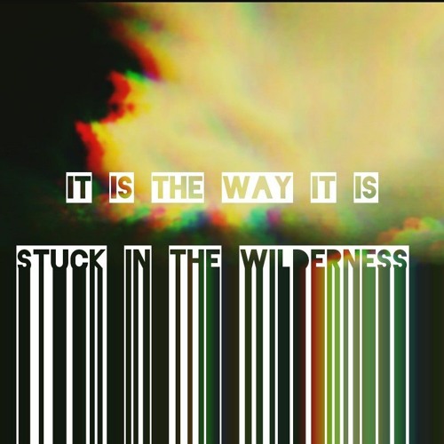 It Is the Way It Is (Instrumental Single)