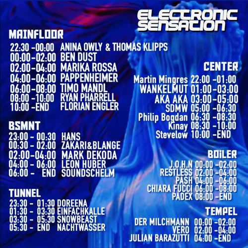 ELECTRONIC SENSATION_8YBDay@HansBunteAreal_o9o42o23