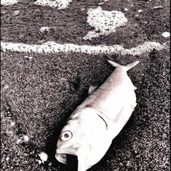 Fish Fry