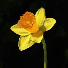 Evigt minde om en smuk dag.