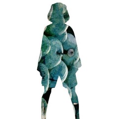 ドーナツホール - ハチ Cover by Ricotta