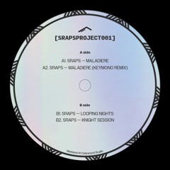 PREMIERE: Sraps - Looping Nights [SRAPSPROJECT001]