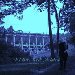 from one, many