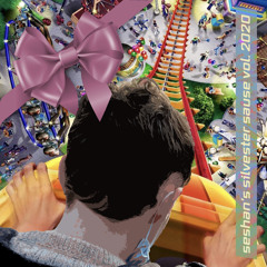 seshan‘s silvester sause vol. 2020