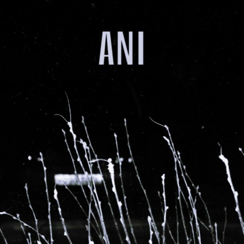 Ani