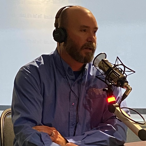 Stream Timberline Professional Tree Care Effective treatment by KTRS