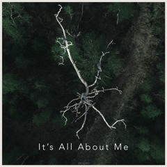 It's All About Me (Original Mix)