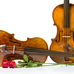Double Violin Concerto (1st Movement) NP