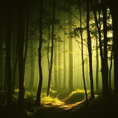 Whisper of the Trees