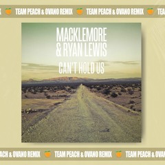 Macklemore & Ryan Lewis - Can't Hold Us (TEAM PEACH & Ovano Remix)