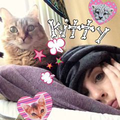 Kitty