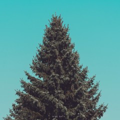 The Christmas Song (cover)