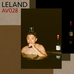 AV028 - Leland