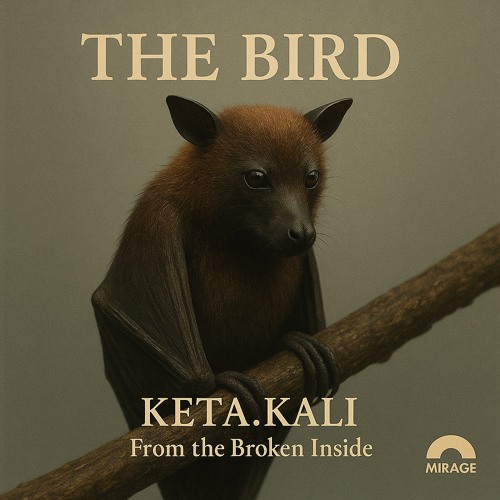 The Bird – From the Broken Inside No 1