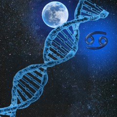 Lunar Cycles and Inner Tides