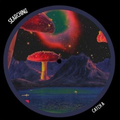 SEARCHING (PAWSA SUPPORT)