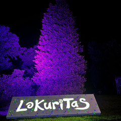 Lokuritas XVII · Affirmations · Wales 30/08/2024
