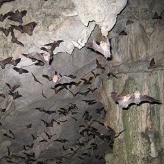 nevercold ft. and0ne