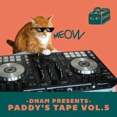 DNAM PRESENTS - PADDY'S TAPE VOL.5