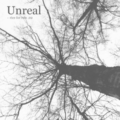 Unreal · rice for rats .02