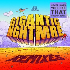 Never Loved You Like That  (SoDown Remix) - NGHTMRE, Big Gigantic, SAFIA