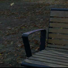 Fallen Leaves