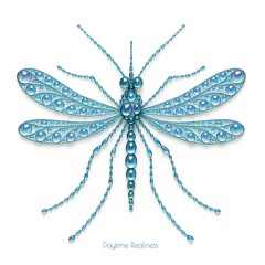 Daytime Realness: Nov 2025