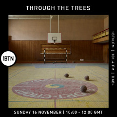 Through The Tree's w Ty - 16.11.25