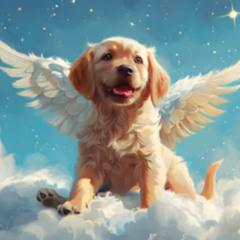 Niño - Belanova (Cover)