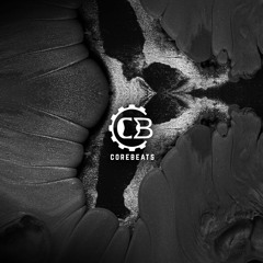 DEFAULT EP (CRB017)