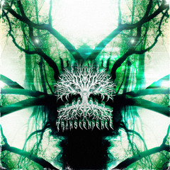 Transcendence - Up & Under