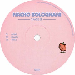 Premiere : Nacho Bolognani - Reason (MJ001)