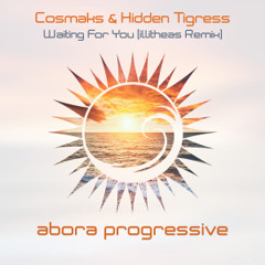 Cosmaks & Hidden Tigress - Waiting For You (illitheas Remix)