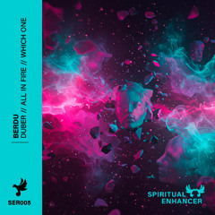 BERDU - Wich One (Original Mix)