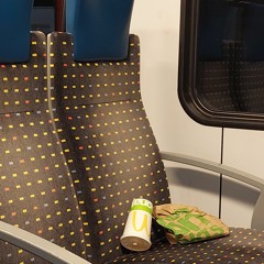 scheisse wenn kontrolleur kunnt gang ich unter d bank bro