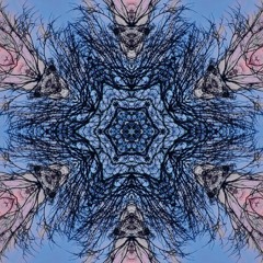 Lepouvoirdesmots extrait