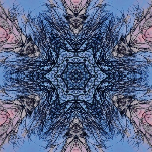 Lepouvoirdesmots extrait