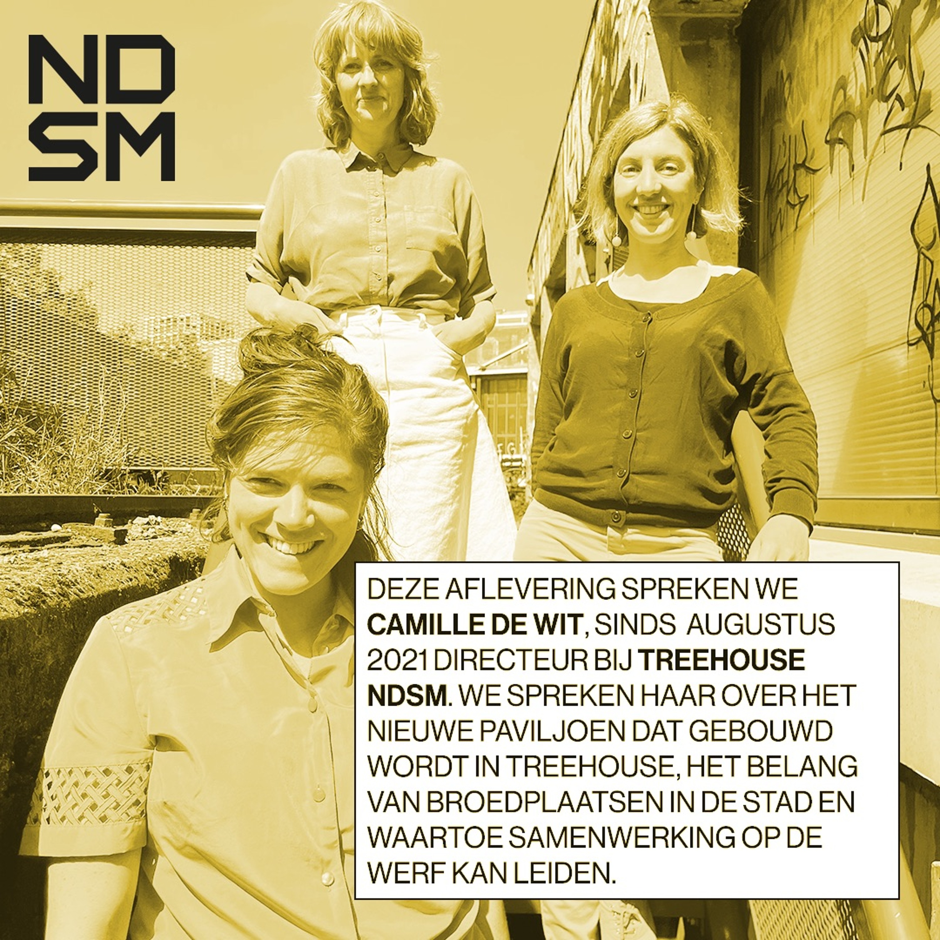 NDSM X