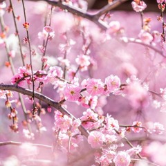 Vikki Flamy - Spring Vibes