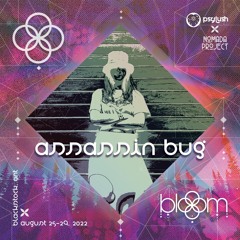 Assassin Bug @ Bloom Festival 2022