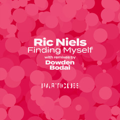 Premiere: Ric Niels - Reasons (Dowden Remix) [Particles]
