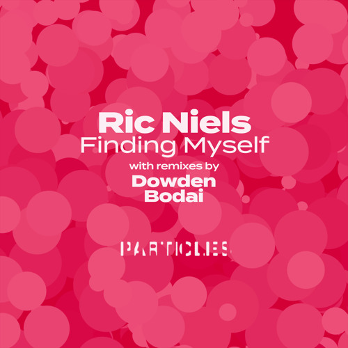 Ric Niels - Reasons (Dowden Remix) [Particles]